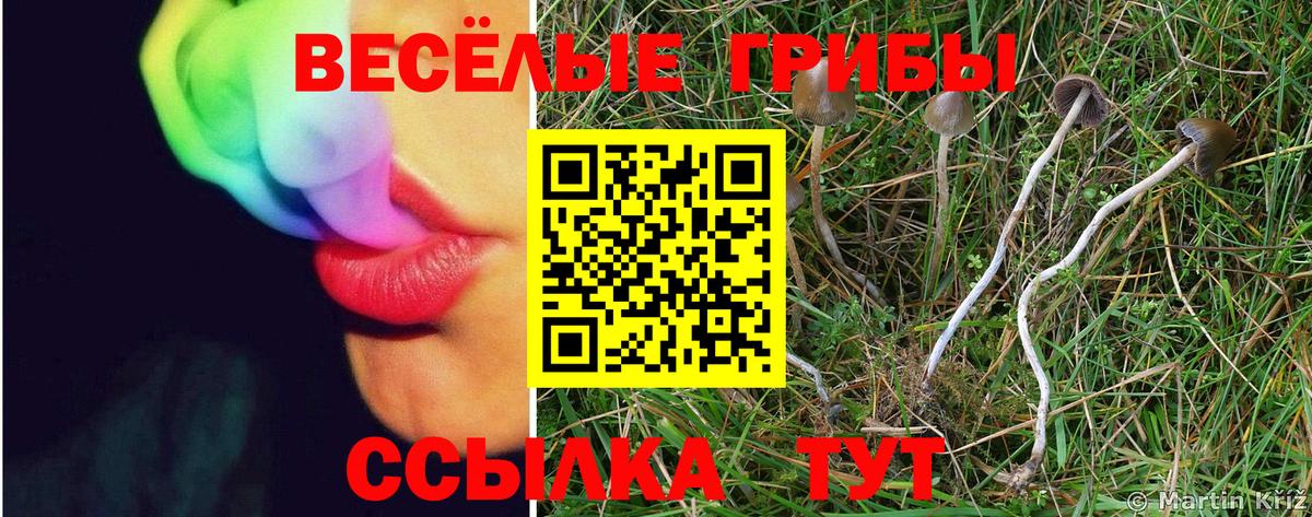 Галлюциногенные грибы мухоморы  Вход с VPN  Мурманск 