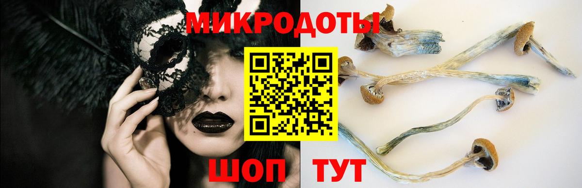 Галлюциногенные грибы Psilocybine cubensis Мурманск